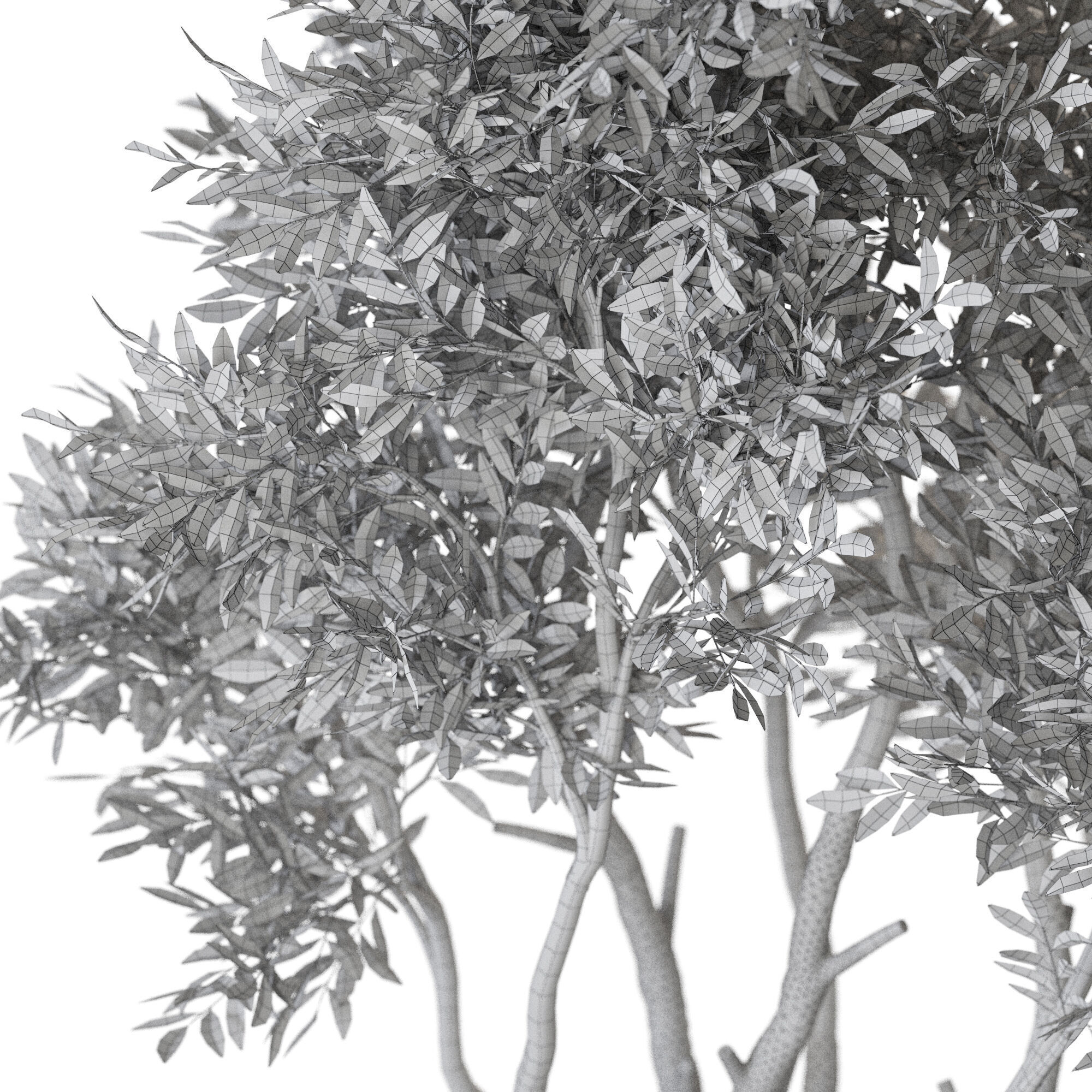 Plant 1223 3D model_5