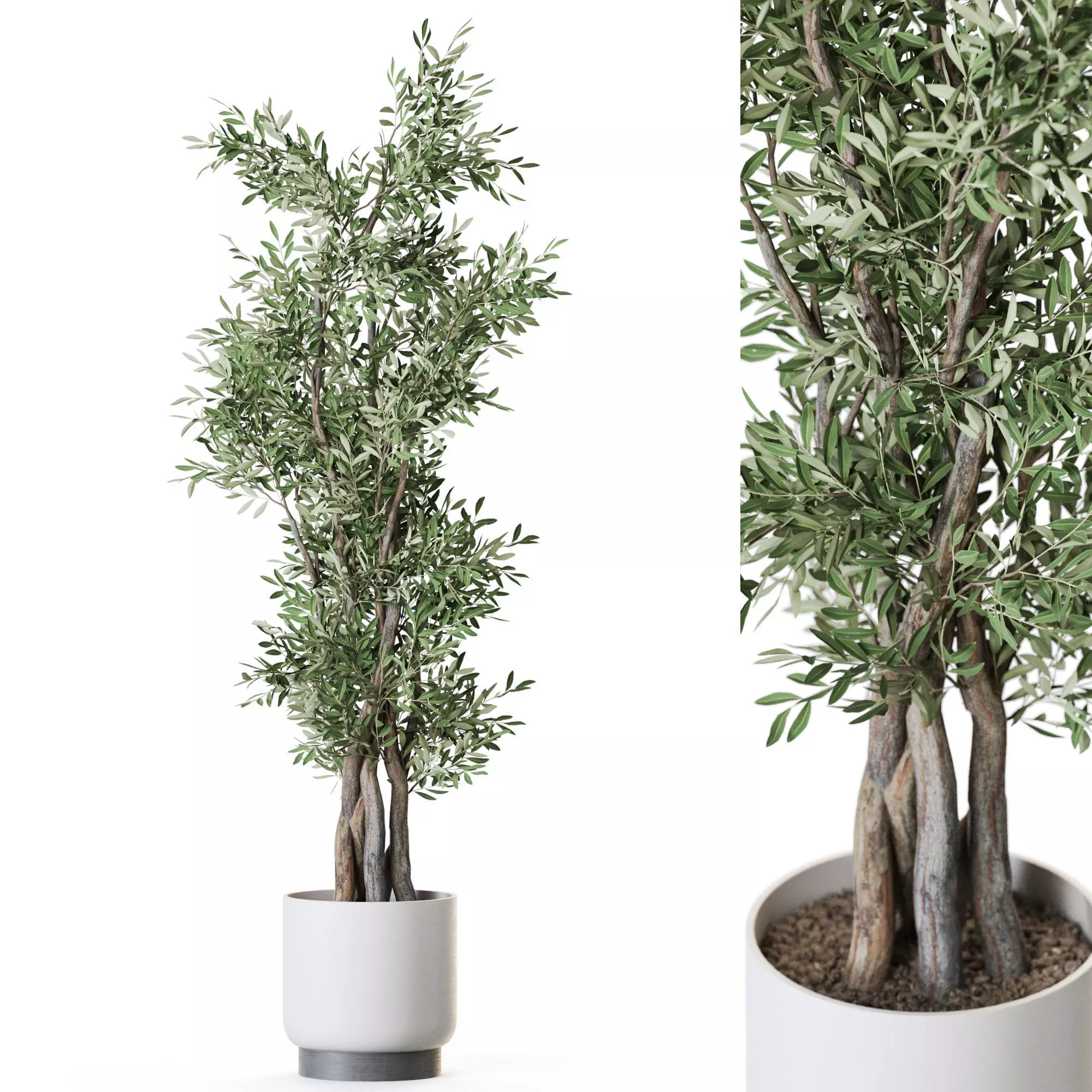 Plant 1224 3D model_0