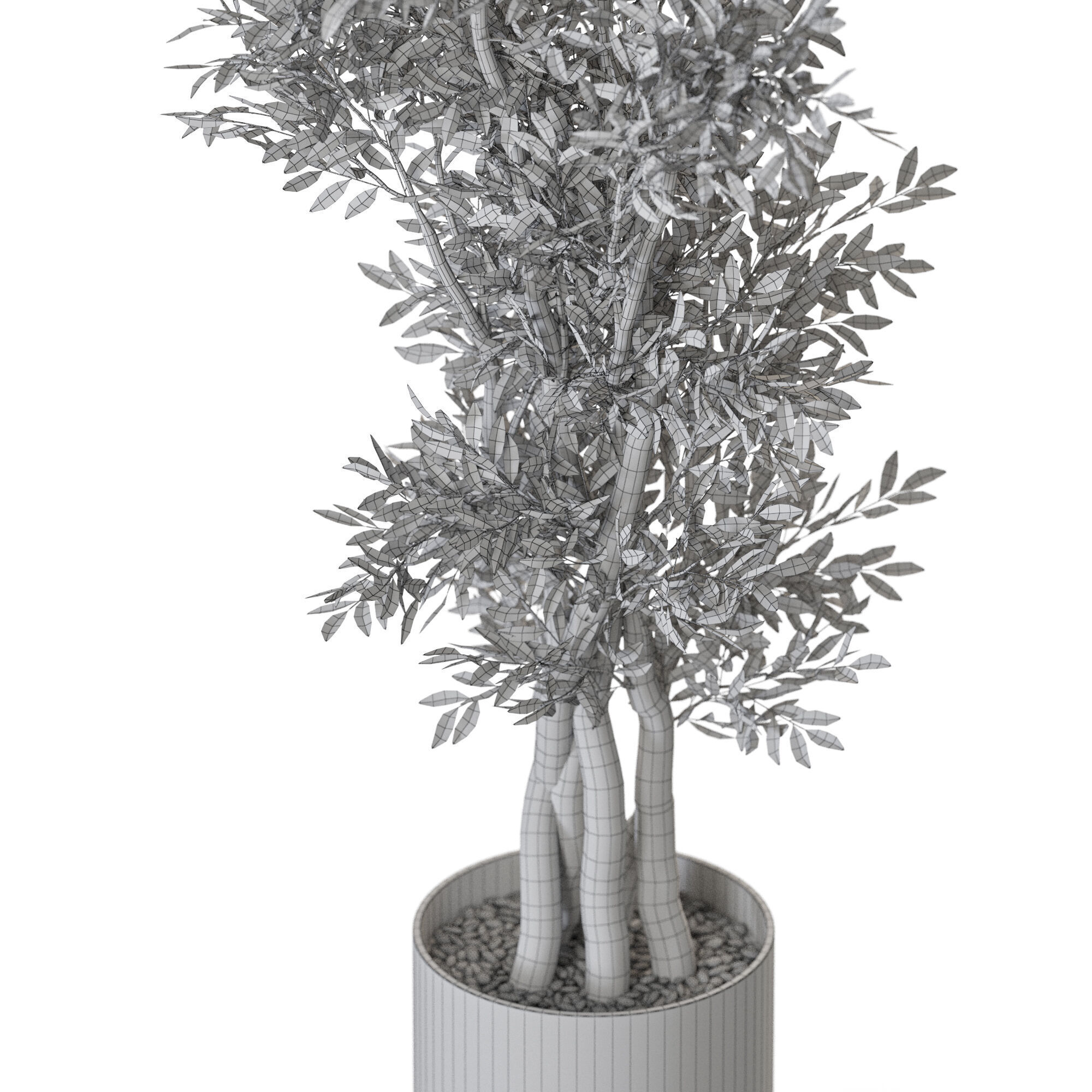 Plant 1224 3D model_5