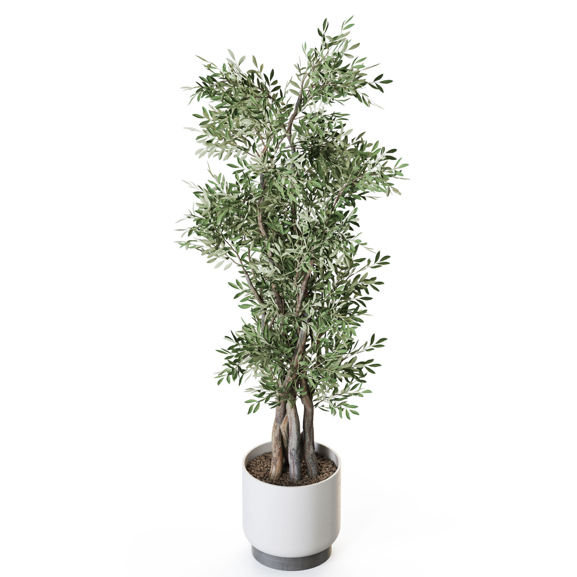 Plant 1224 3D model_3