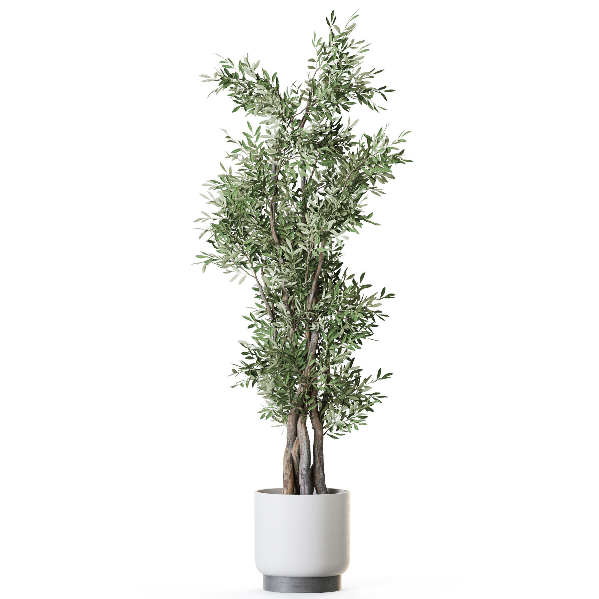 Plant 1224 3D model_1