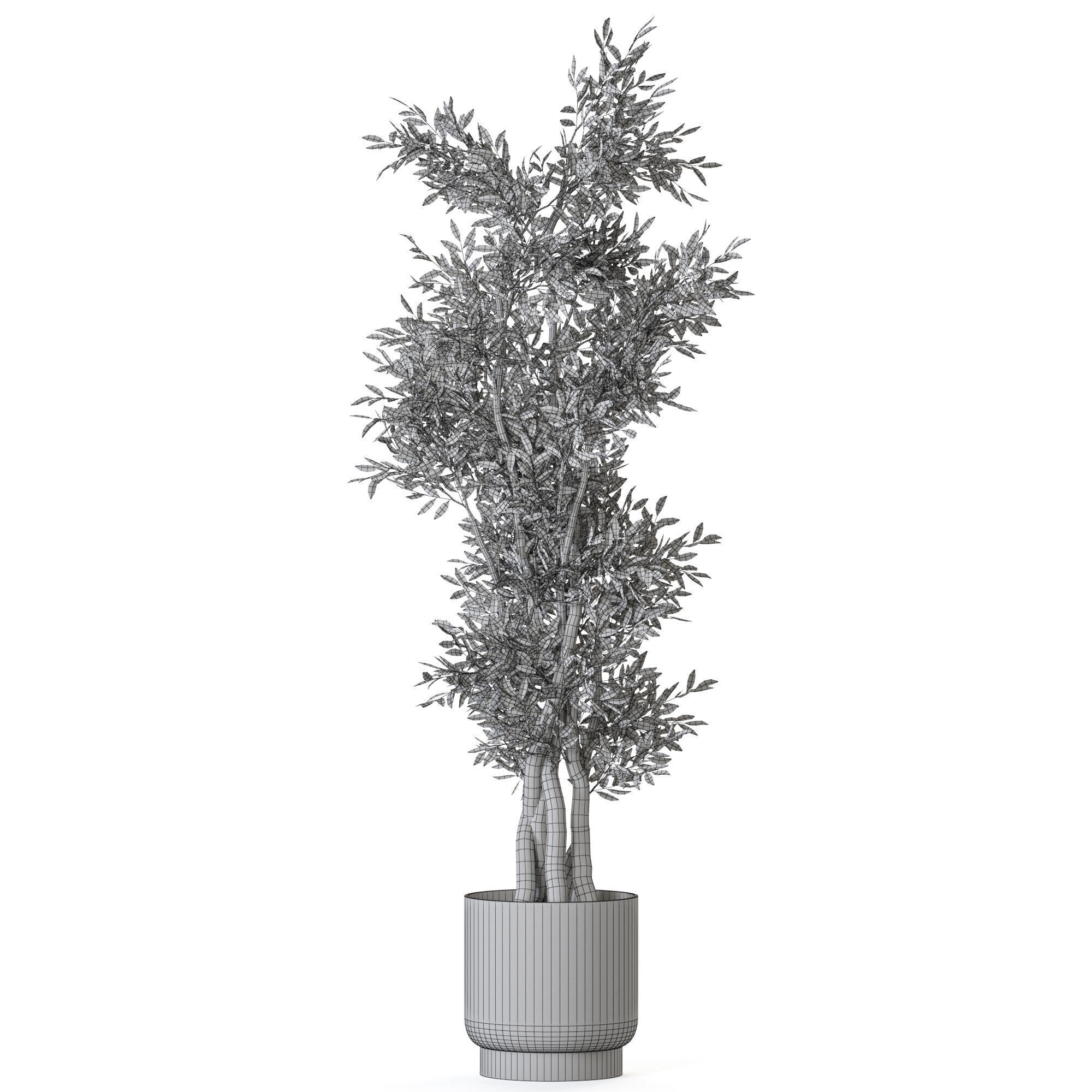 Plant 1224 3D model_4