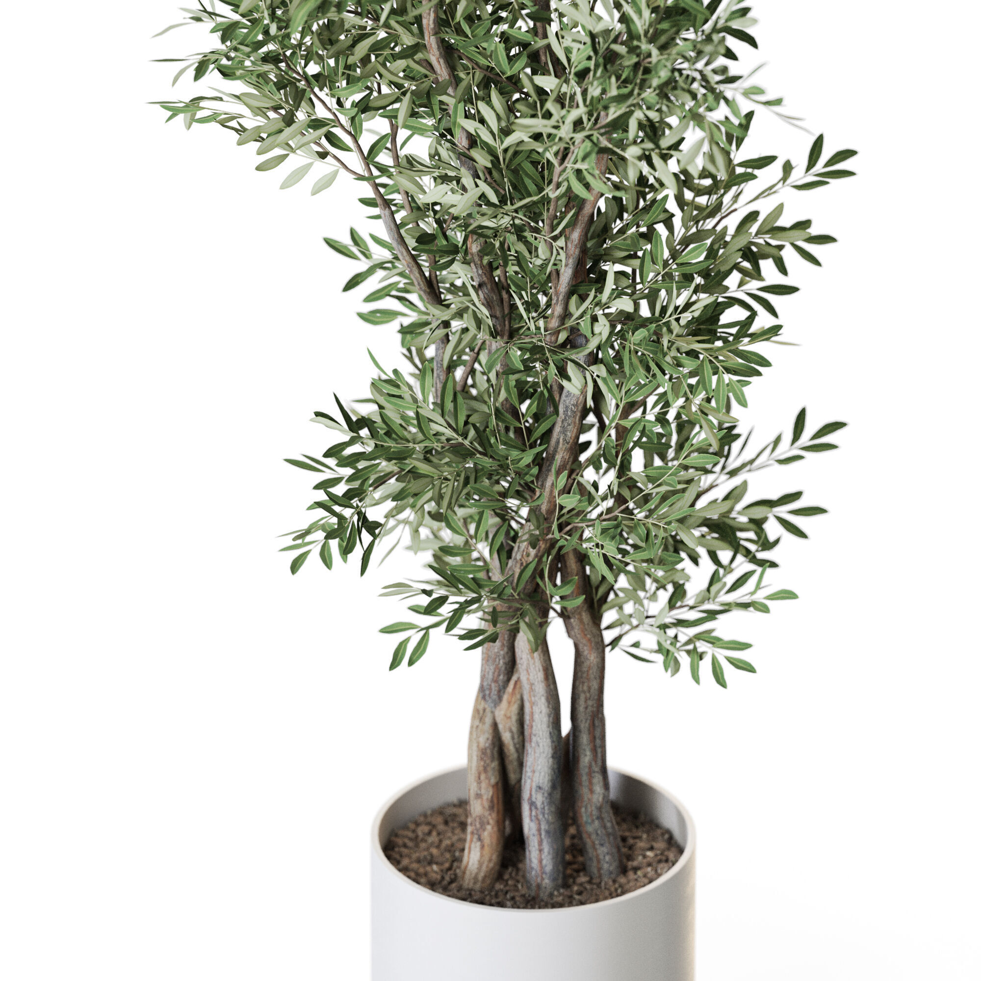 Plant 1224 3D model_2