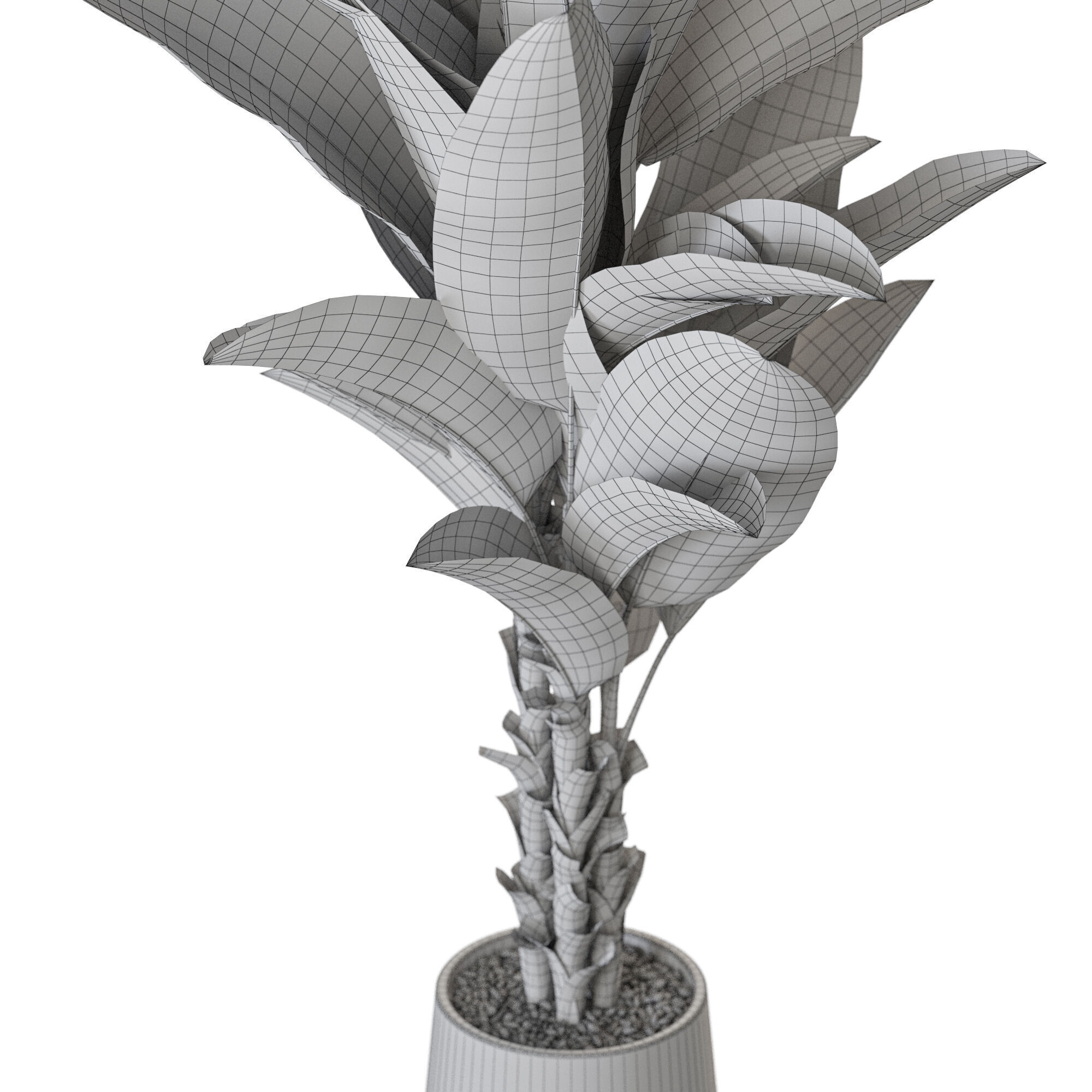Plant 1225 3D model_5