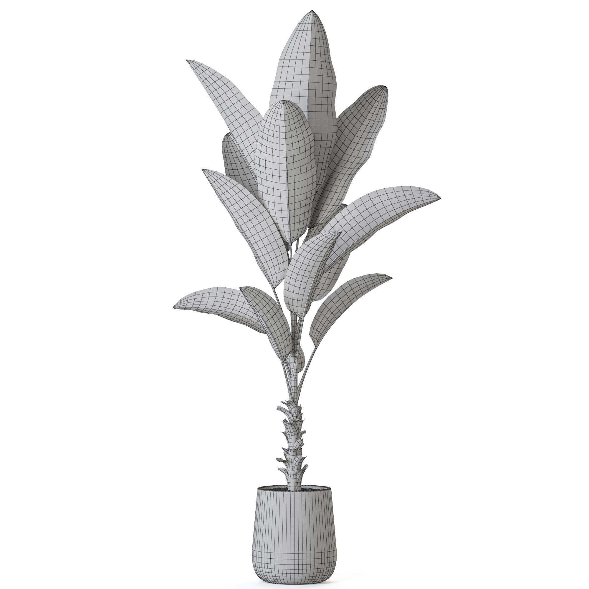 Plant 1226 3D model_4