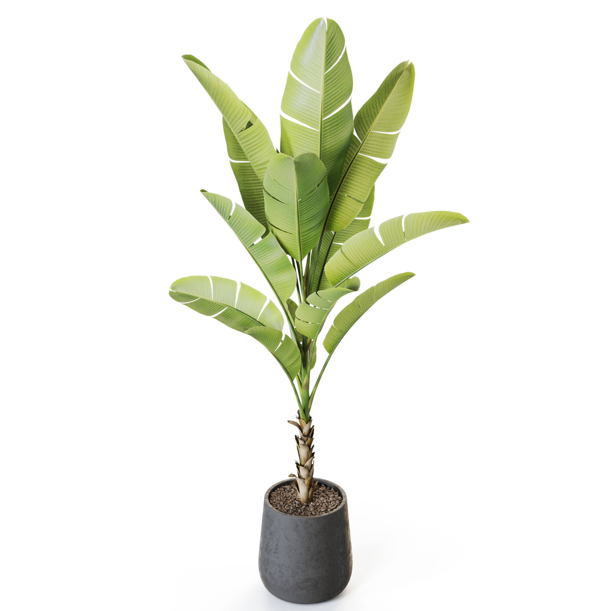 Plant 1226 3D model_3