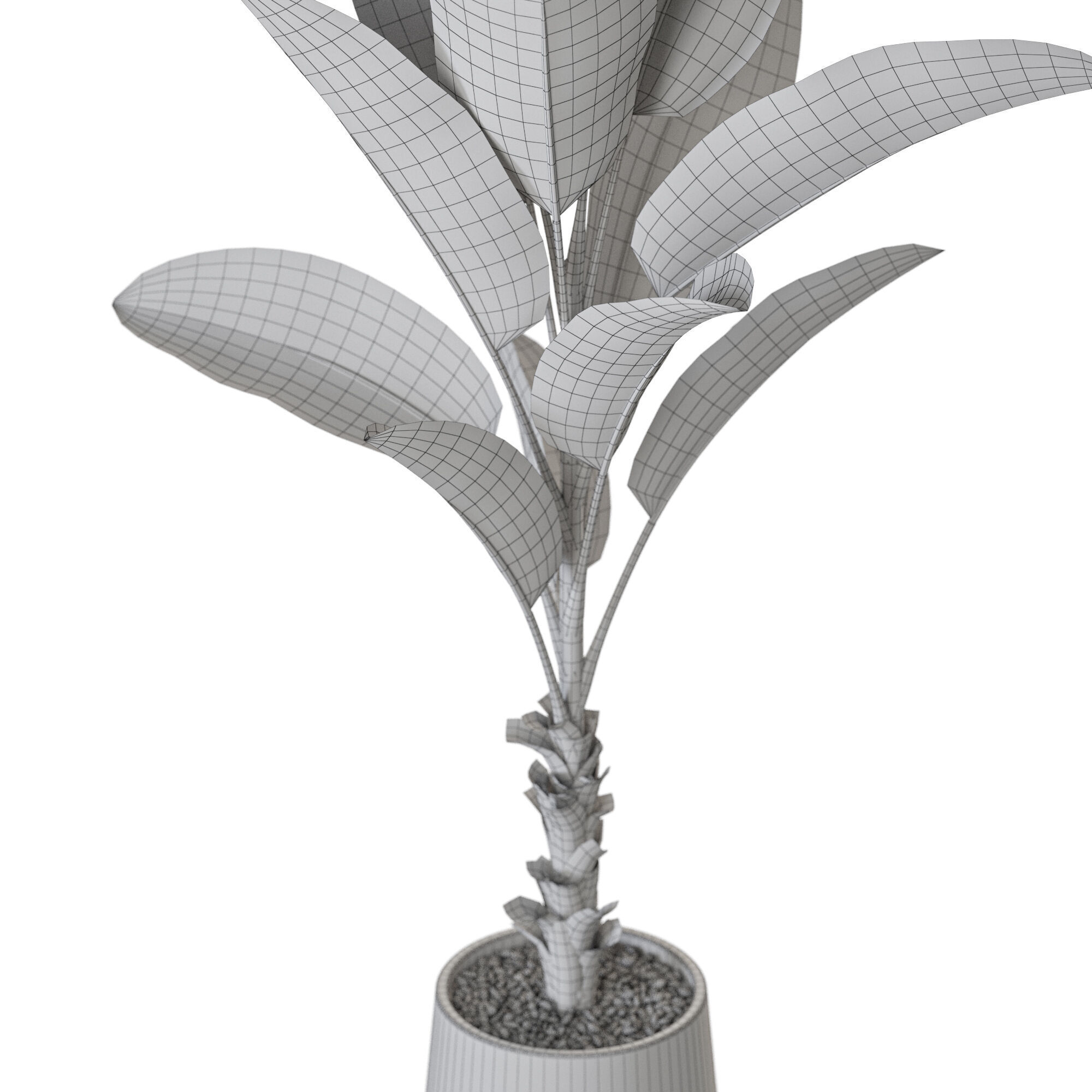 Plant 1226 3D model_5