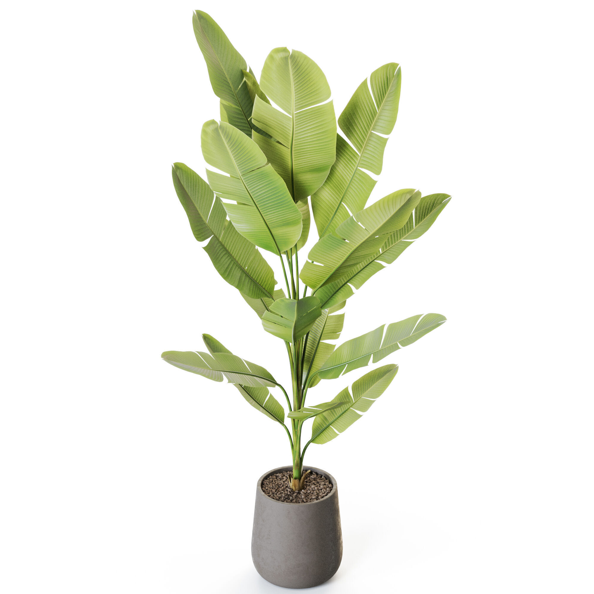 Plant 1227 3D model_3