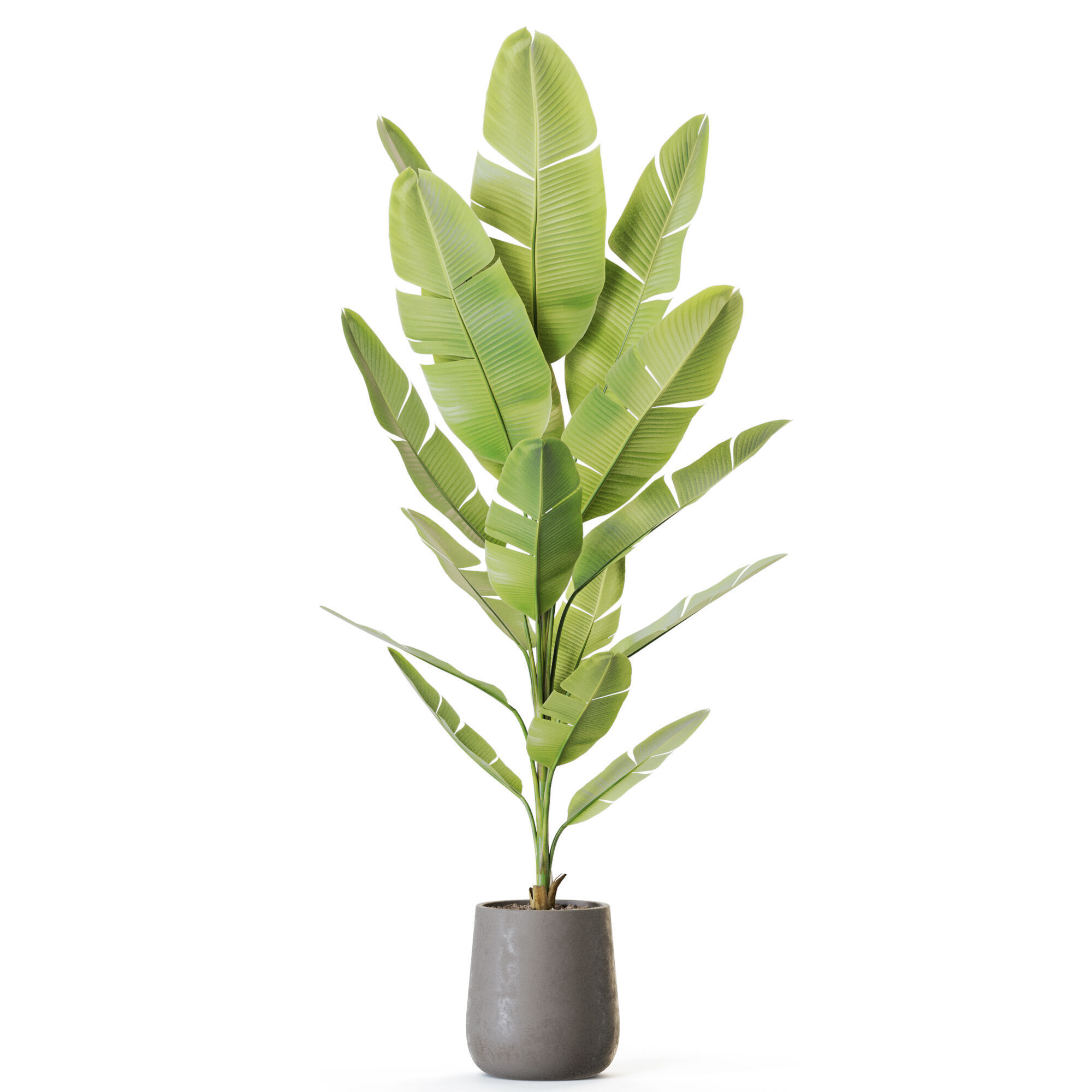 Plant 1227 3D model_1