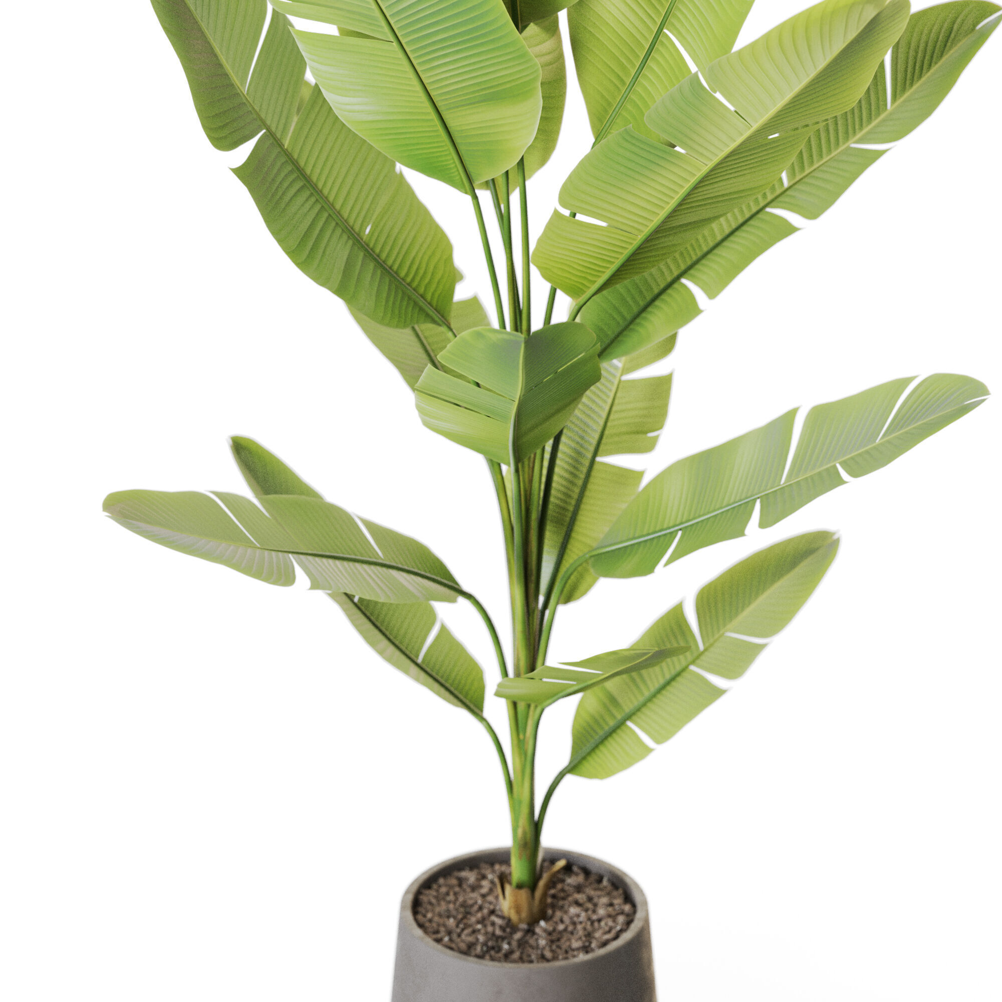 Plant 1227 3D model_2