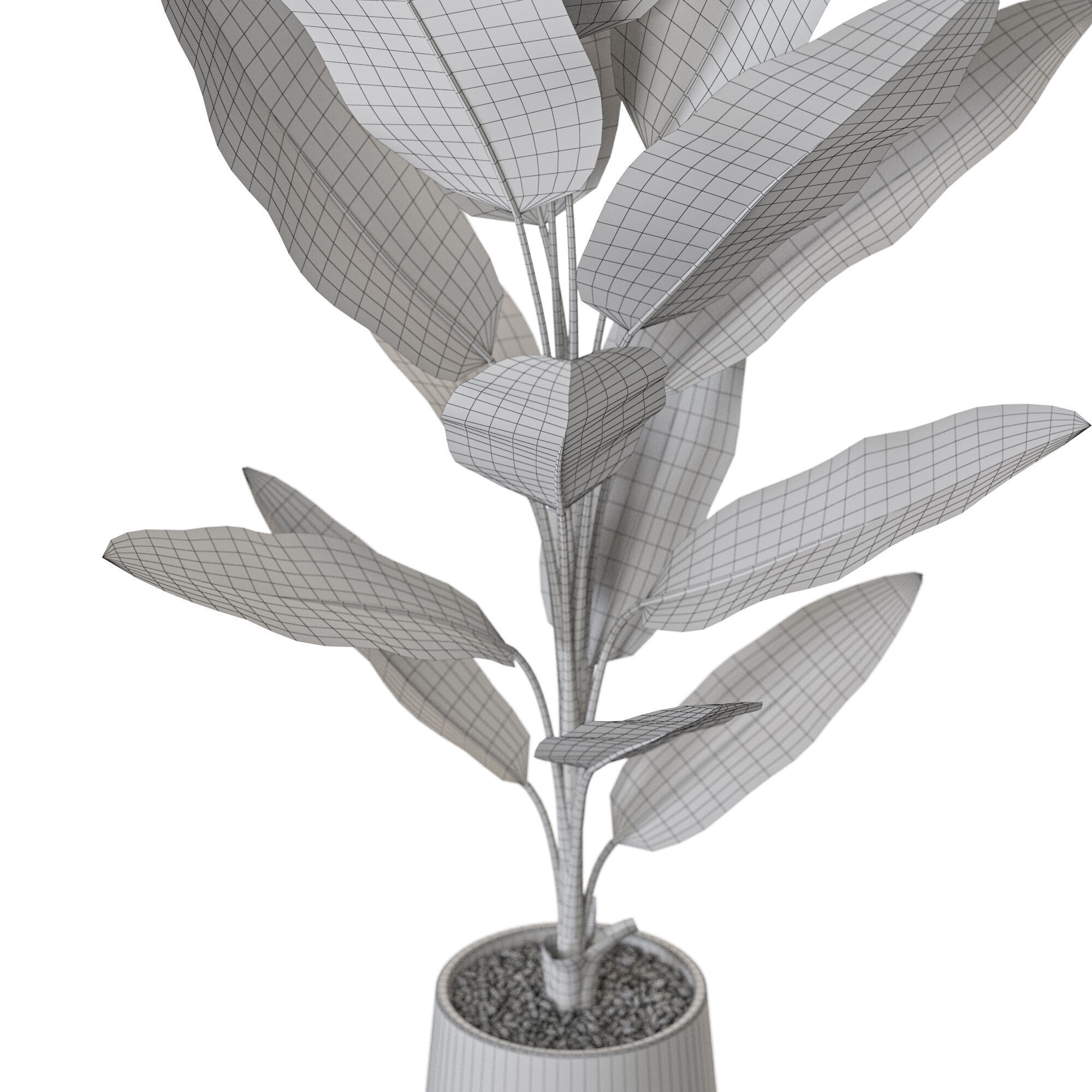 Plant 1227 3D model_5