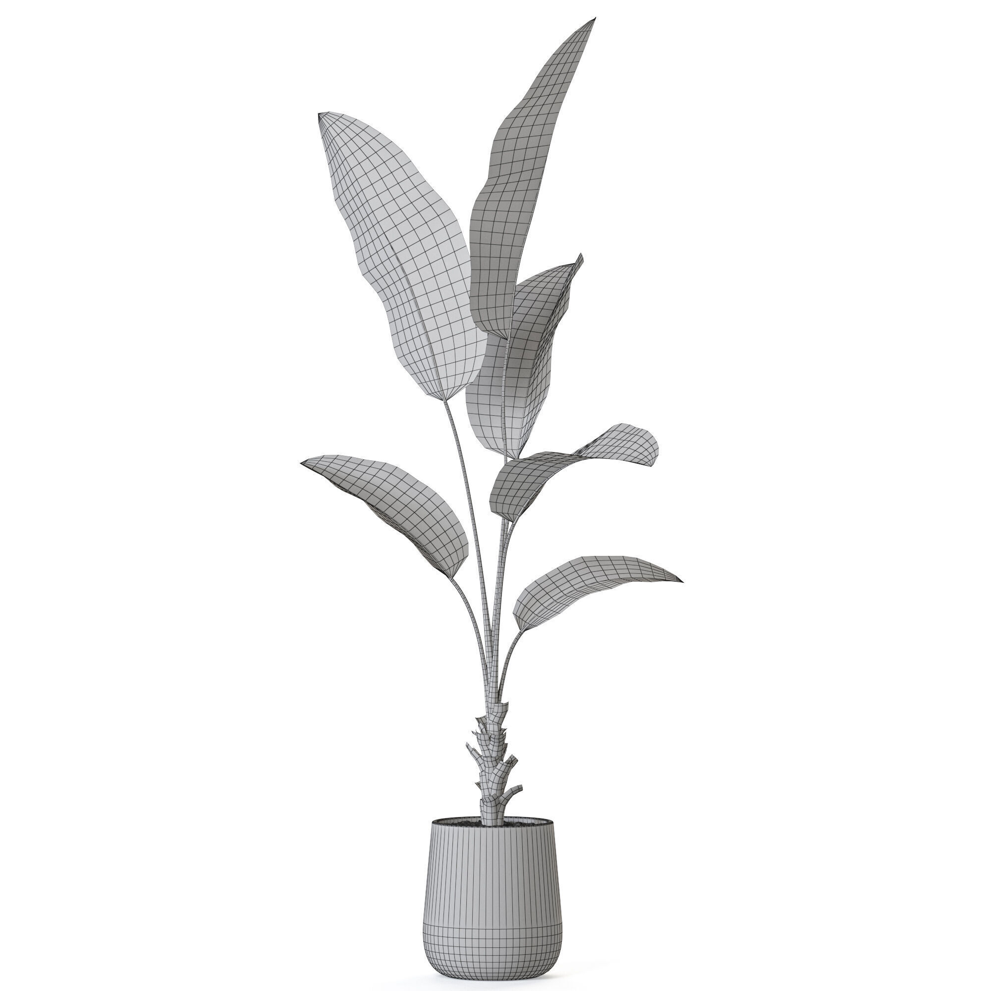 Plant 1228 3D model_4