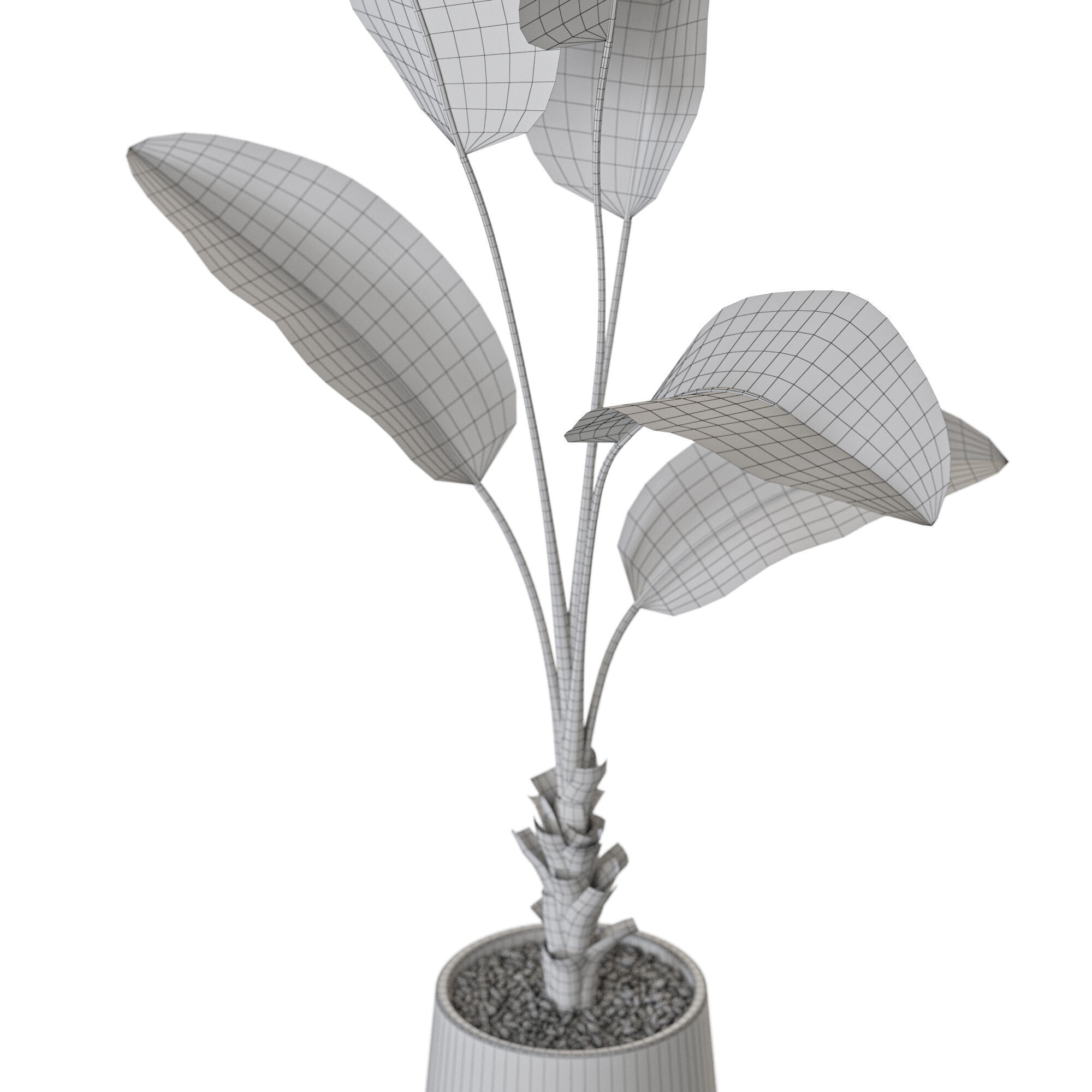 Plant 1228 3D model_5