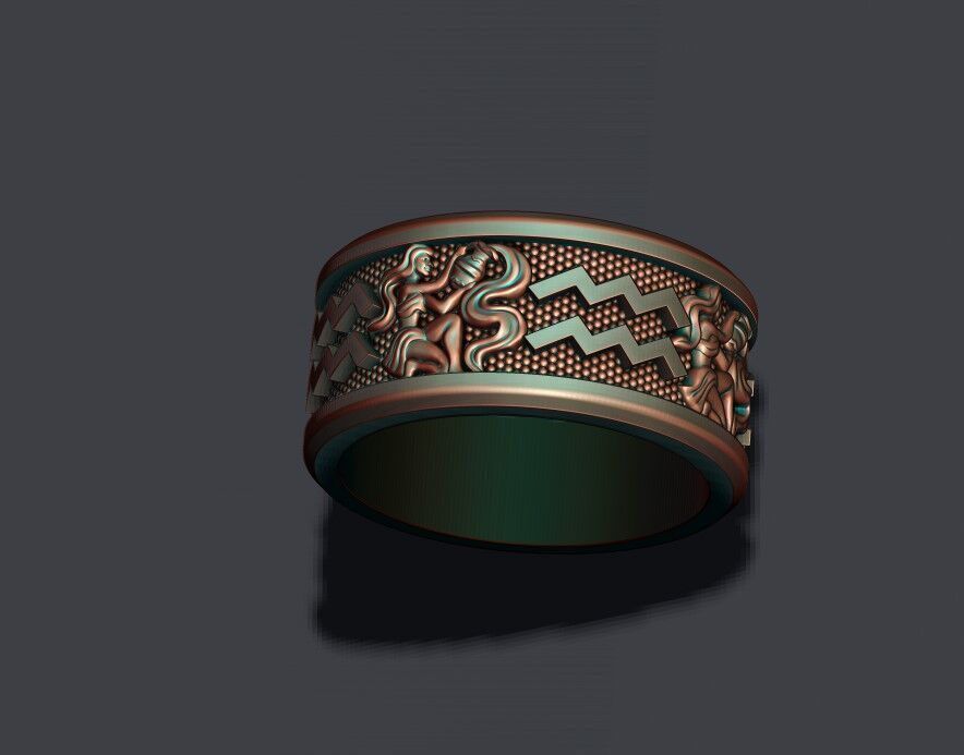 zodiac acuario lite ring 3D print model_3