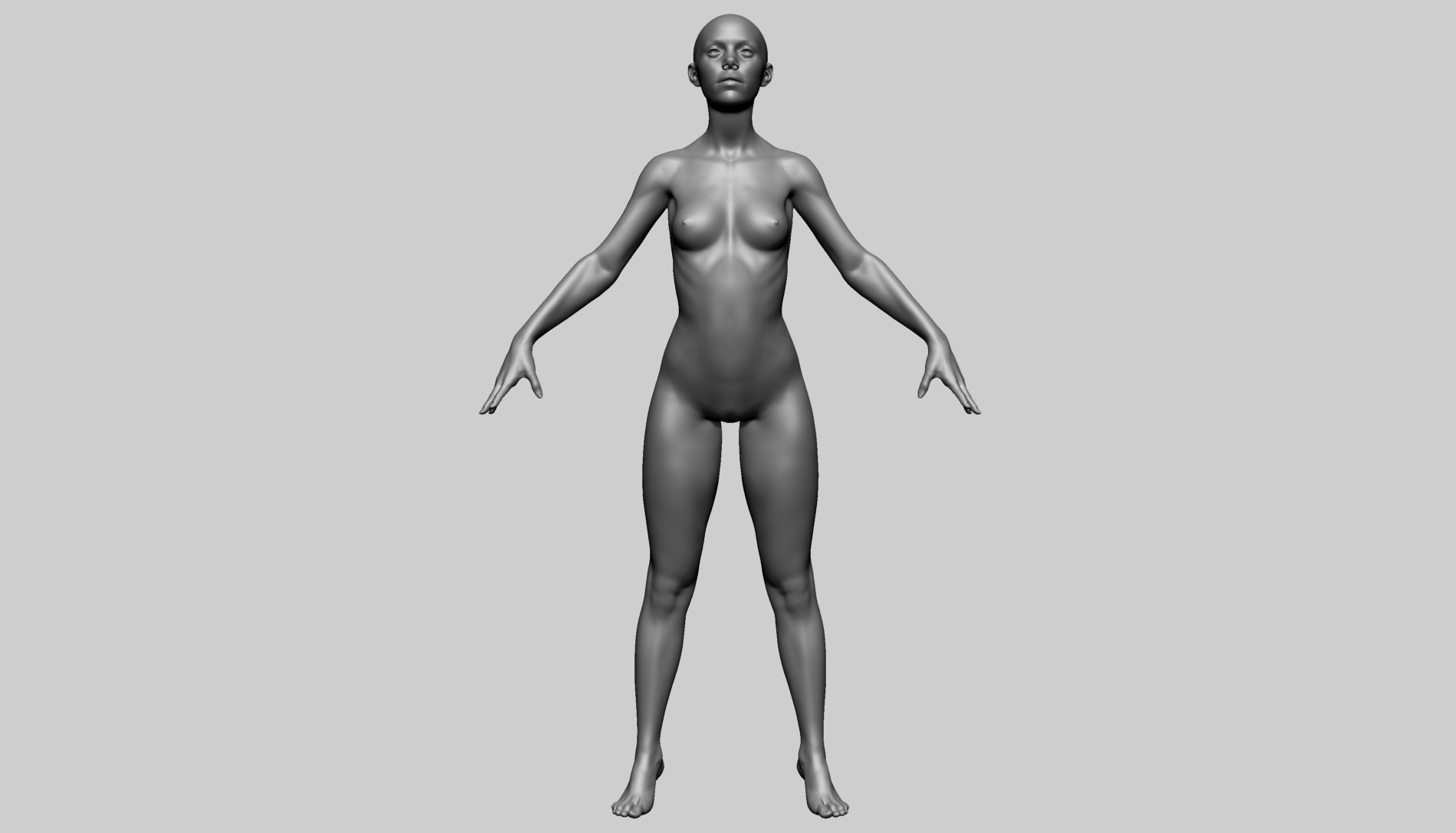 Female Anatomy B 3D model_5