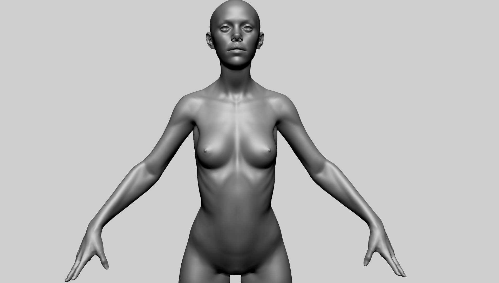 Female Anatomy B 3D model_9