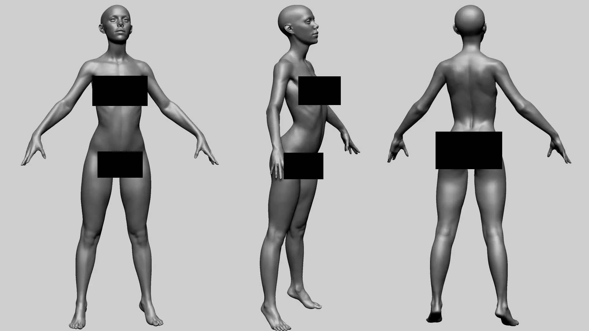 Female Anatomy B 3D model_0