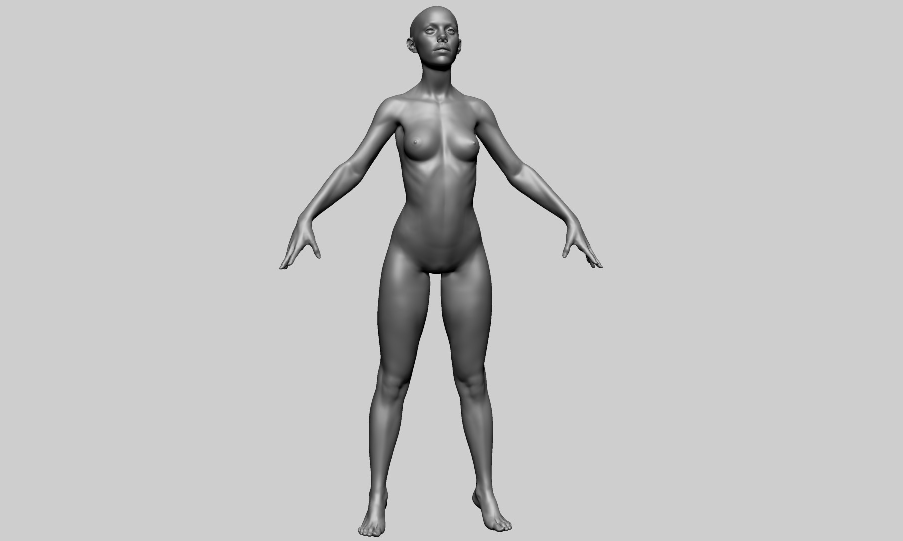 Female Anatomy B 3D model_2