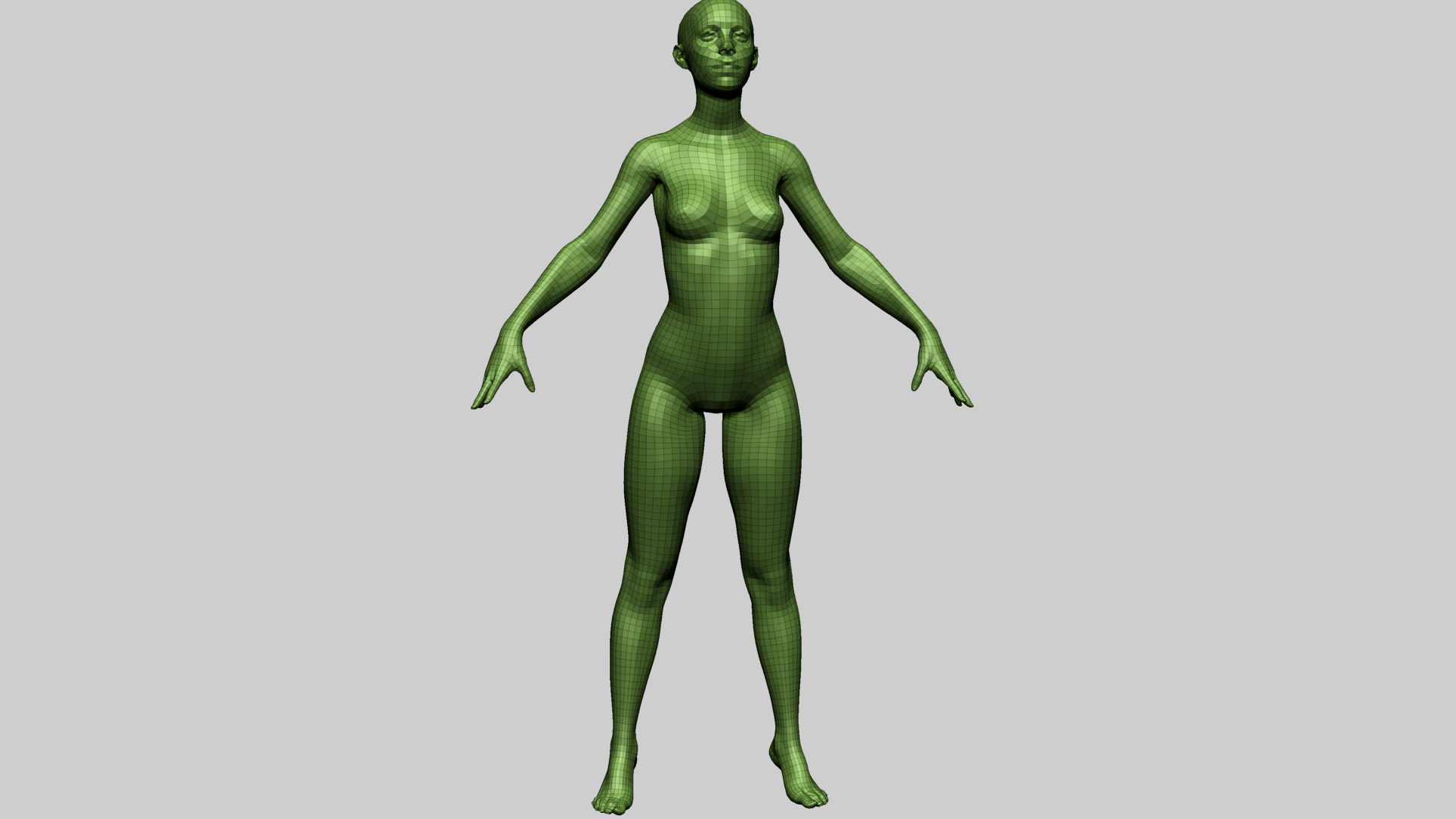 Female Anatomy B 3D model_14