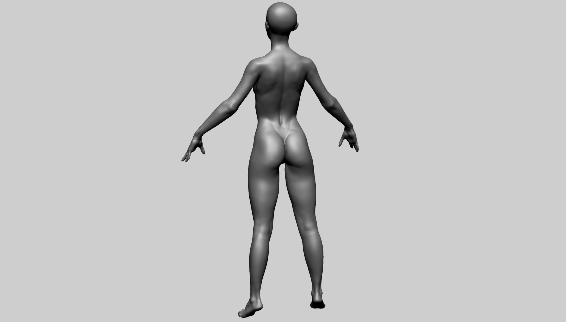 Female Anatomy B 3D model_7