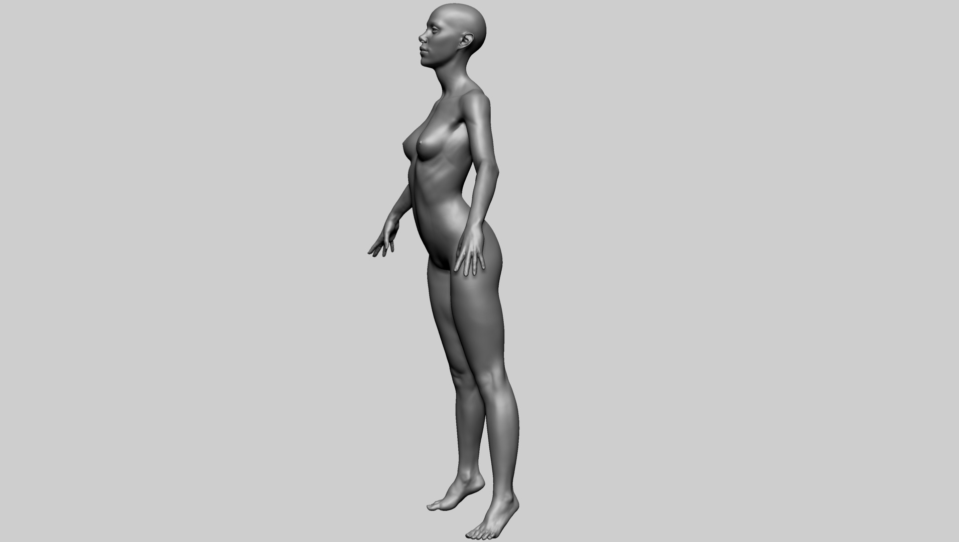 Female Anatomy B 3D model_8