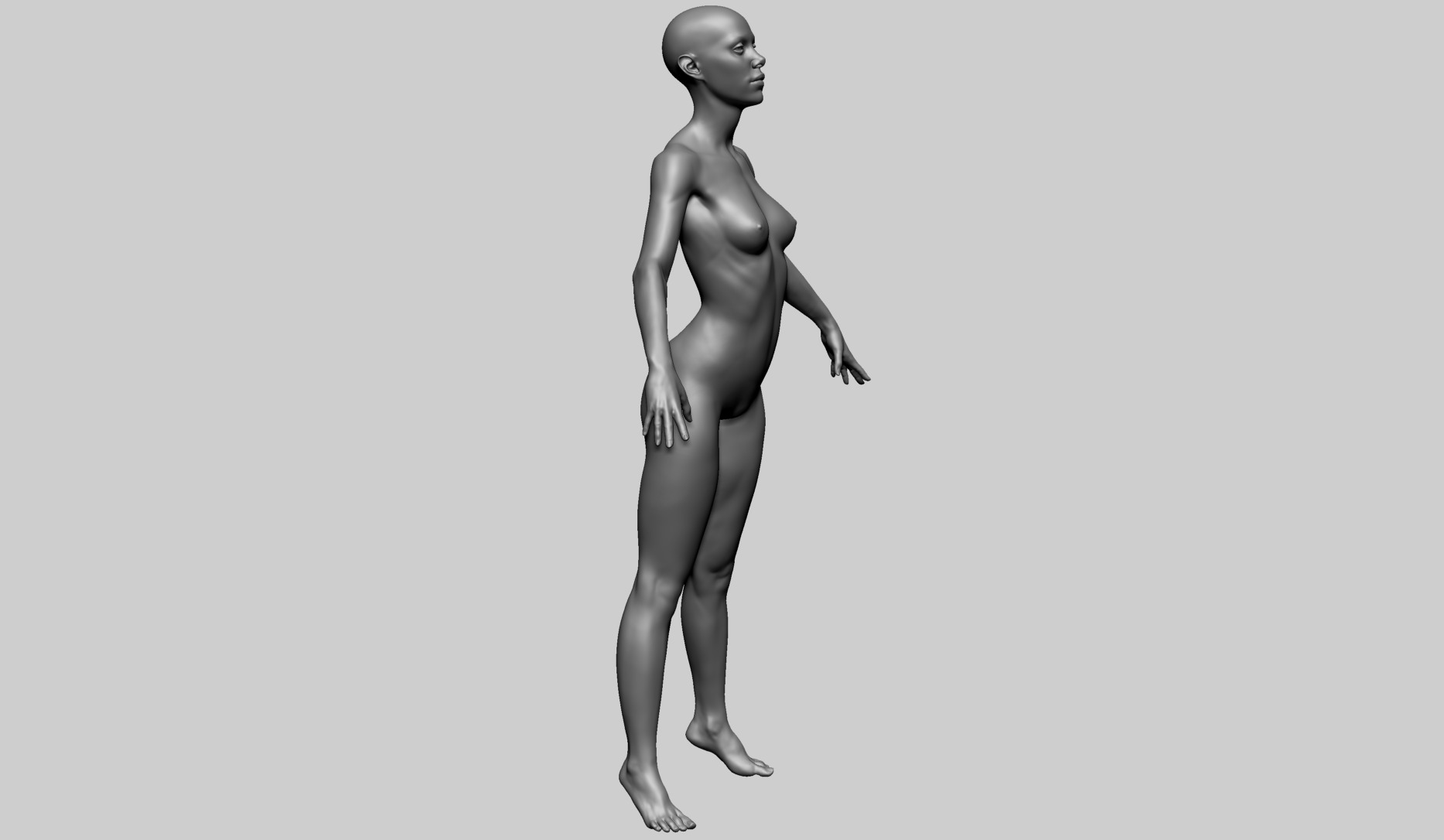 Female Anatomy B 3D model_4