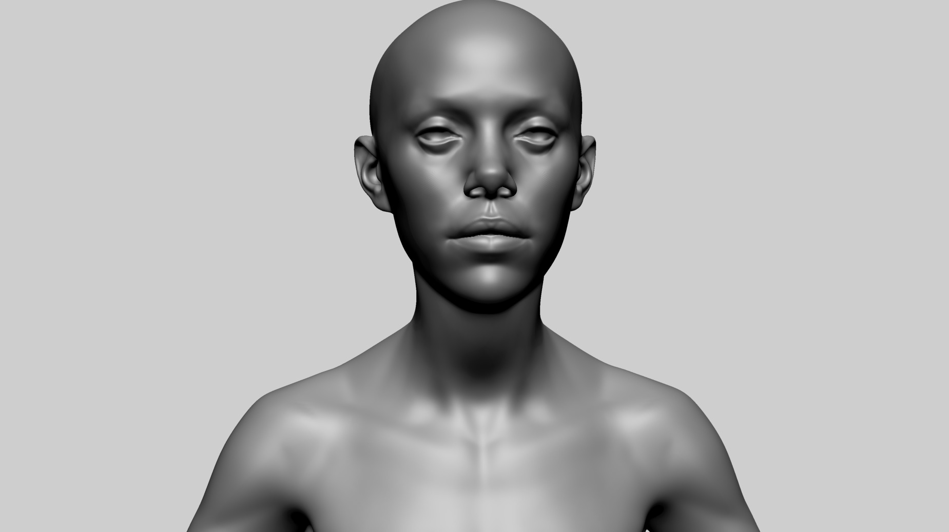 Female Anatomy B 3D model_11