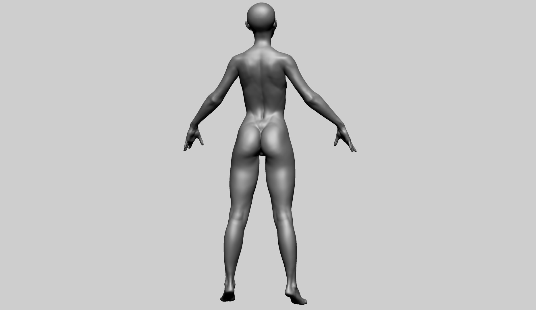 Female Anatomy B 3D model_3