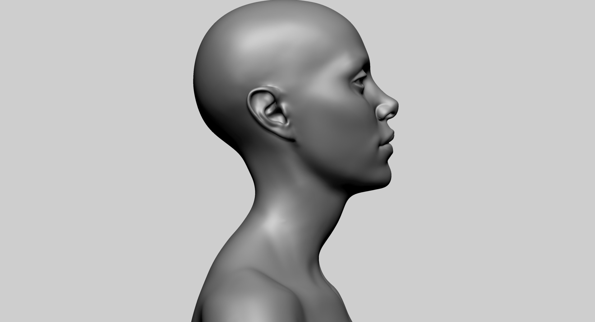 Female Anatomy B 3D model_12