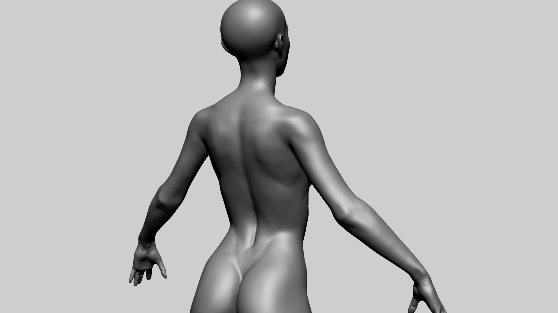 Female Anatomy B 3D model_10