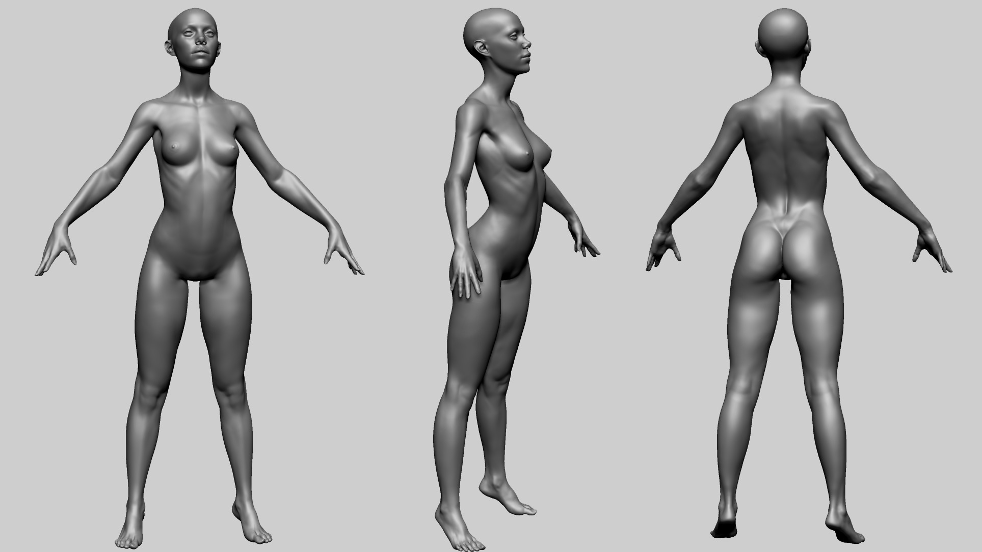 Female Anatomy B 3D model_1