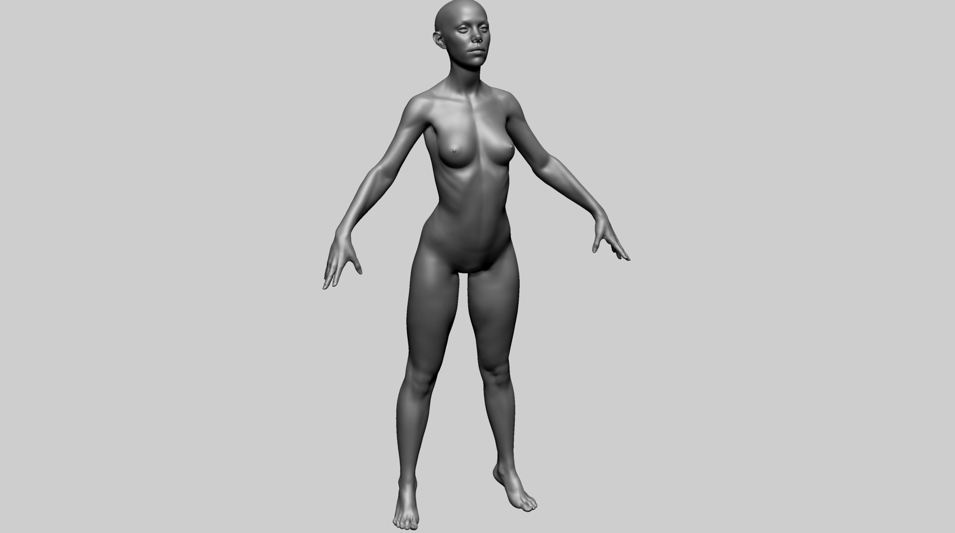 Female Anatomy B 3D model_6