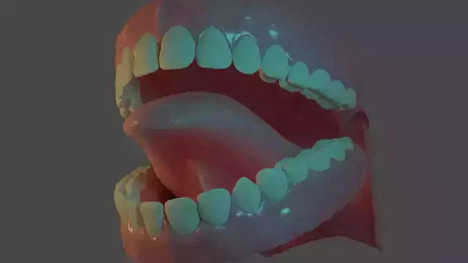 teeth