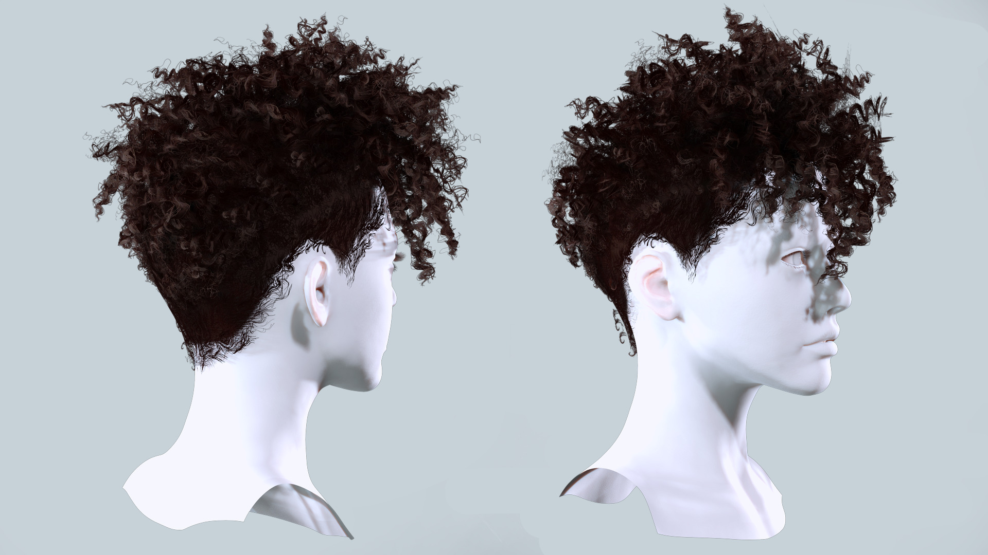 Curly Undercut Hairstyle - Realistic 3D Hair Low-poly 3D model_5
