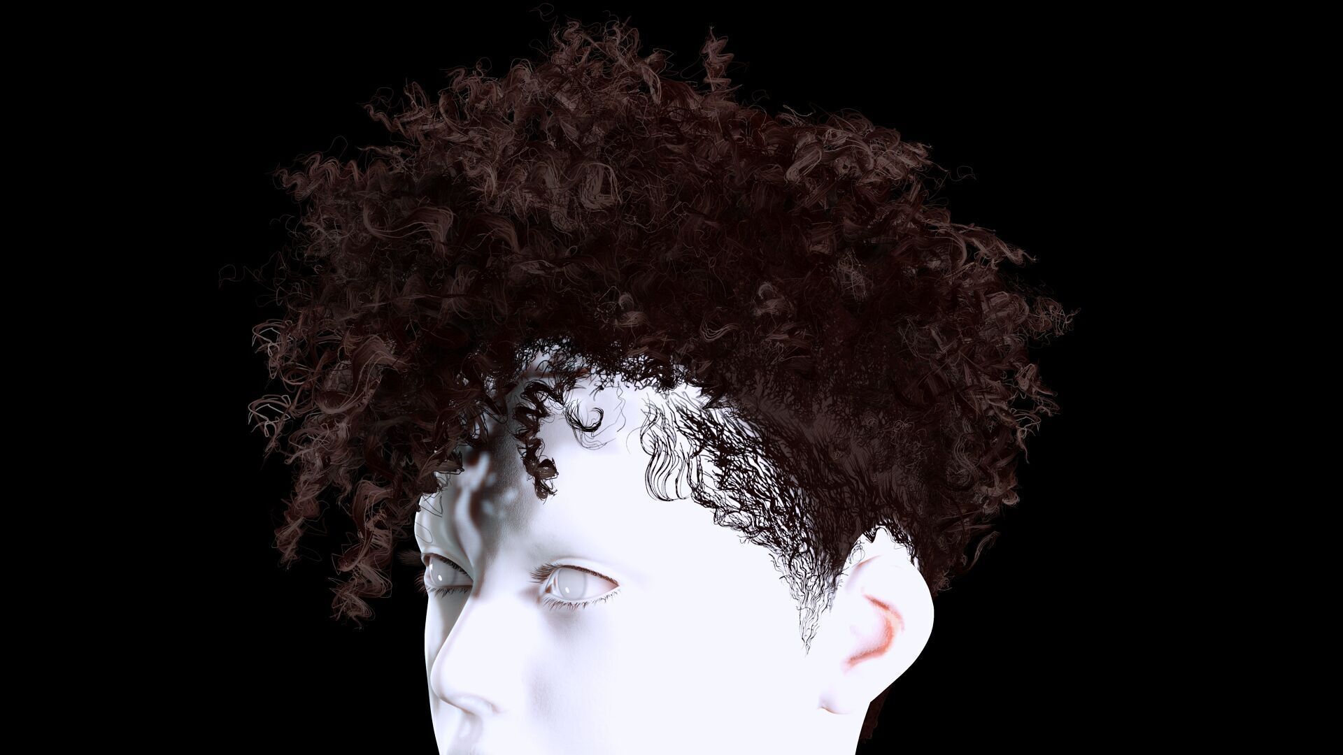 Curly Undercut Hairstyle - Realistic 3D Hair Low-poly 3D model_6