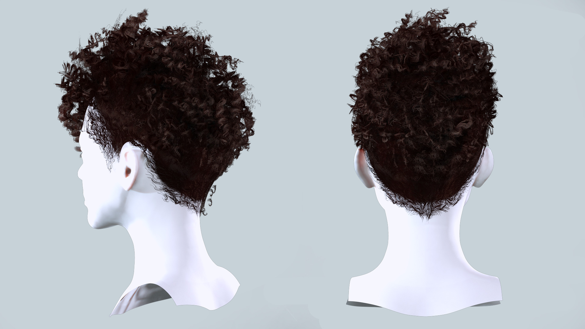 Curly Undercut Hairstyle - Realistic 3D Hair Low-poly 3D model_4