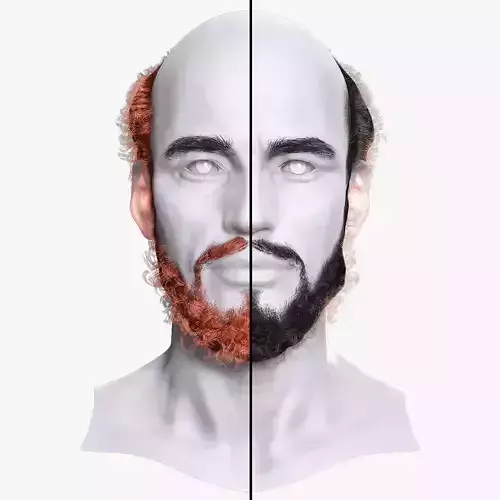 Bald Hairstyle Beard Combo - Premium 3D Asset Low-poly 3D model
