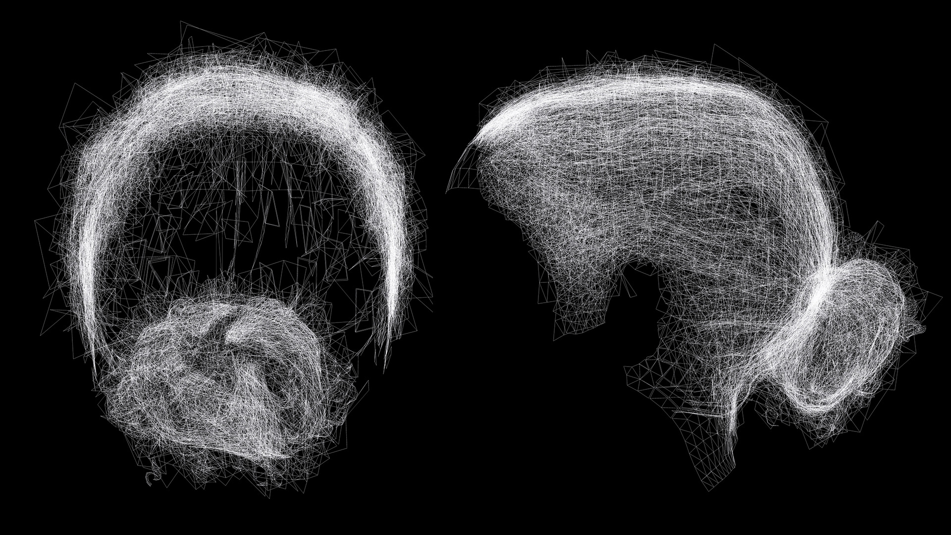 Curly Low Man Bun -Realistic Male 3D Hair Model Low-poly 3D model_19