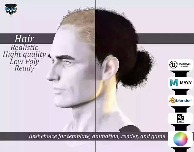 Curly Low Man Bun -Realistic Male 3D Hair Model