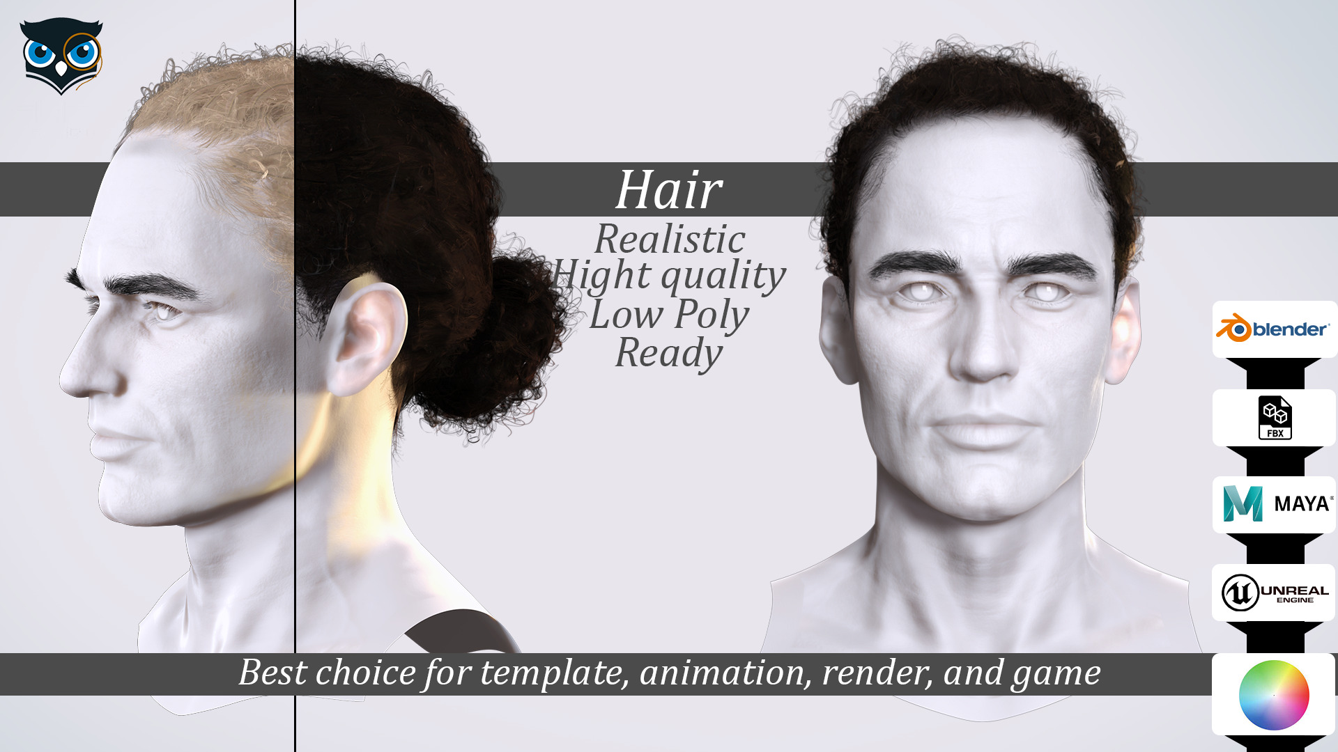 Curly Low Man Bun -Realistic Male 3D Hair Model Low-poly 3D model_1