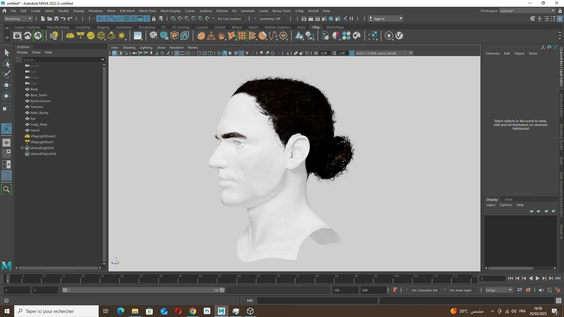 Curly Low Man Bun -Realistic Male 3D Hair Model Low-poly 3D model_13
