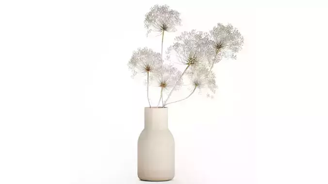 Bouquet dried flowers branches Heracleum hogweed 551