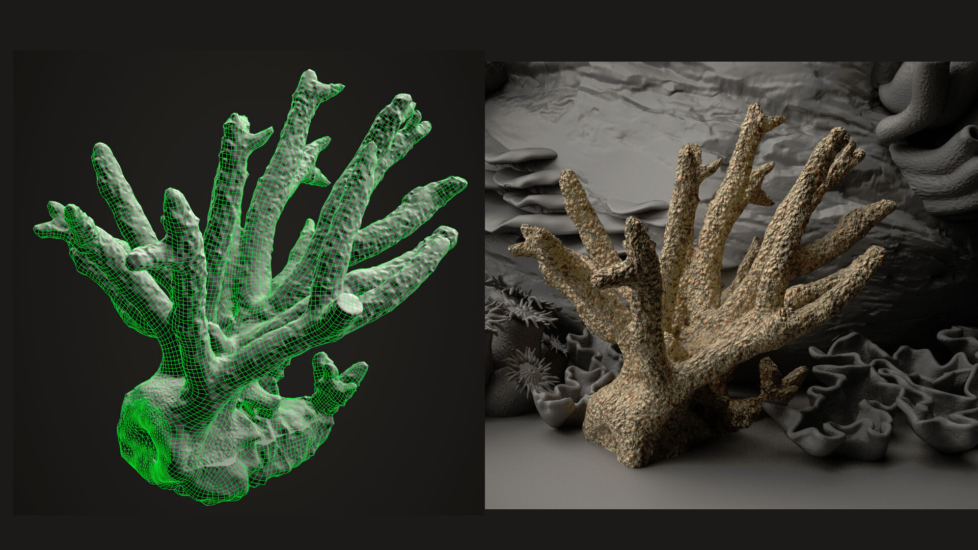 Coral reef 3D model_17