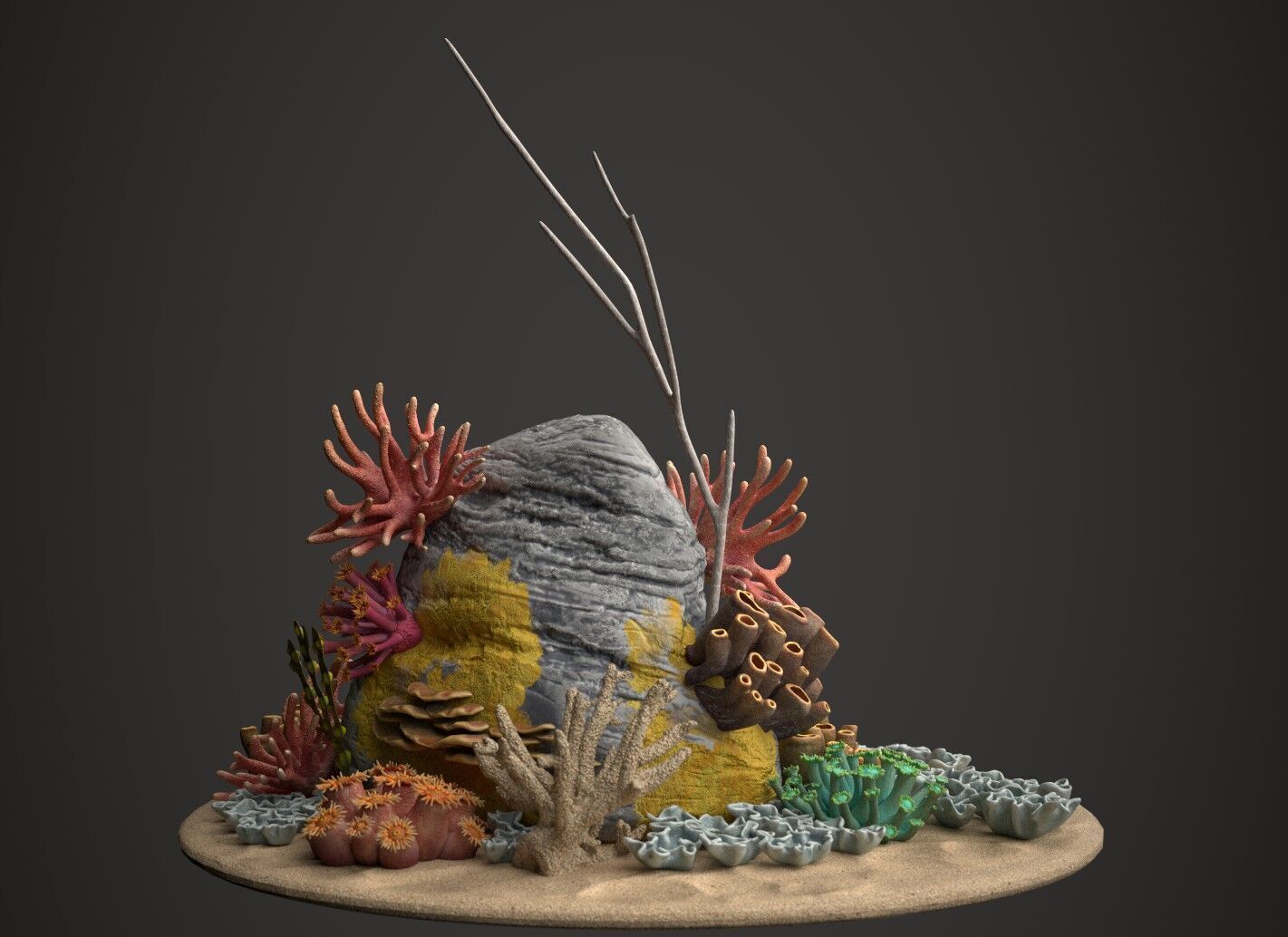 Coral reef 3D model_24