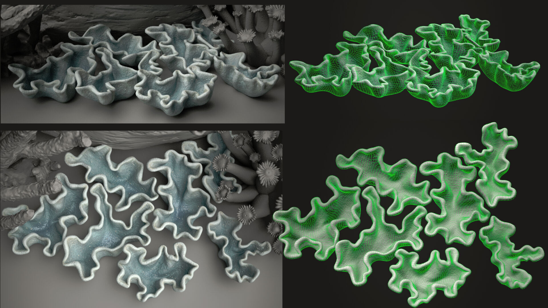 Coral reef 3D model_19