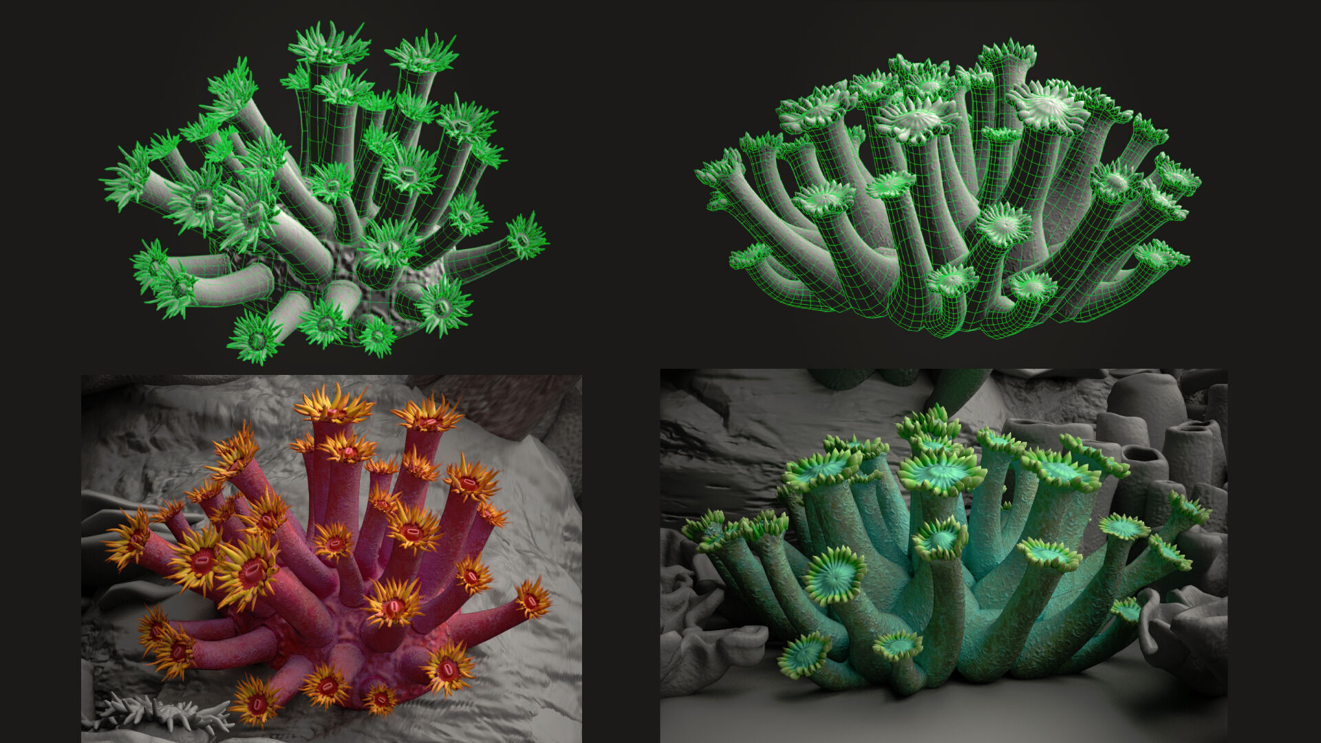 Coral reef 3D model_14