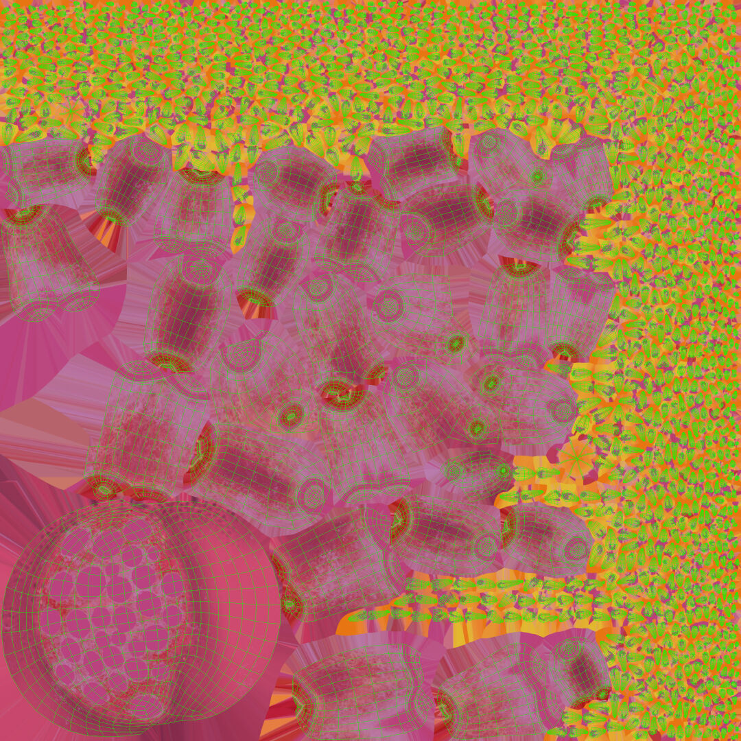 Coral reef 3D model_29