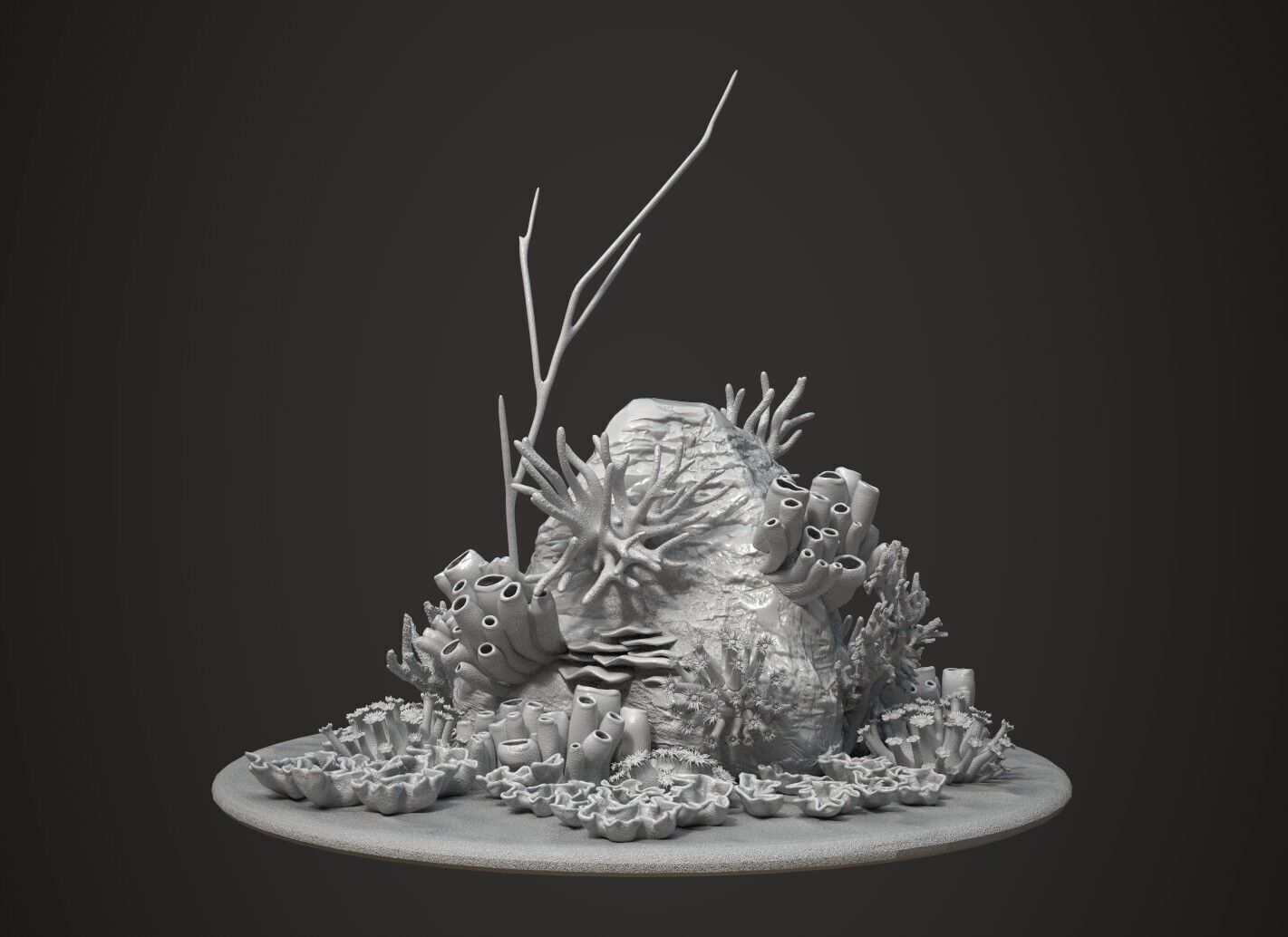 Coral reef 3D model_25
