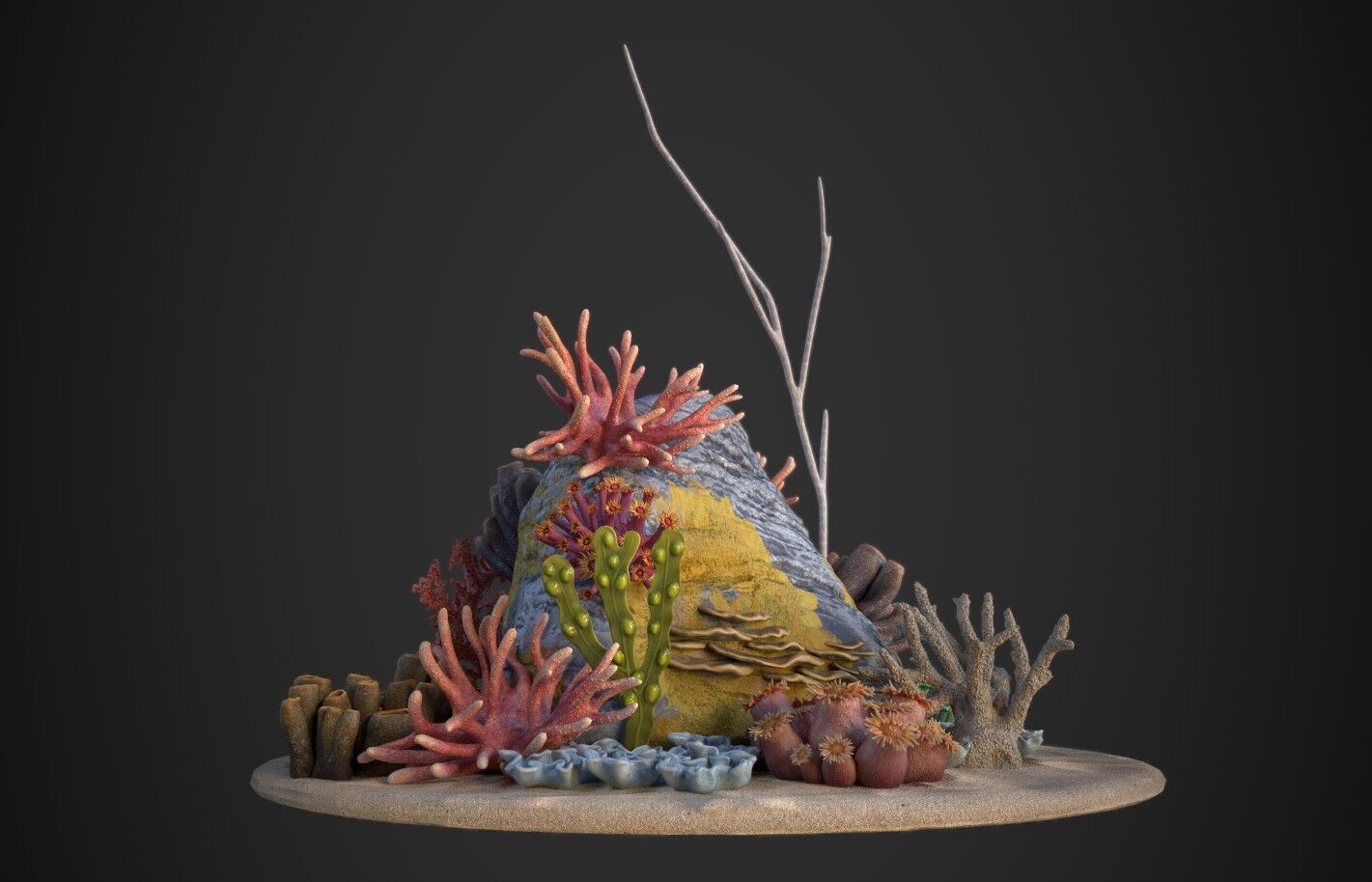 Coral reef 3D model_8