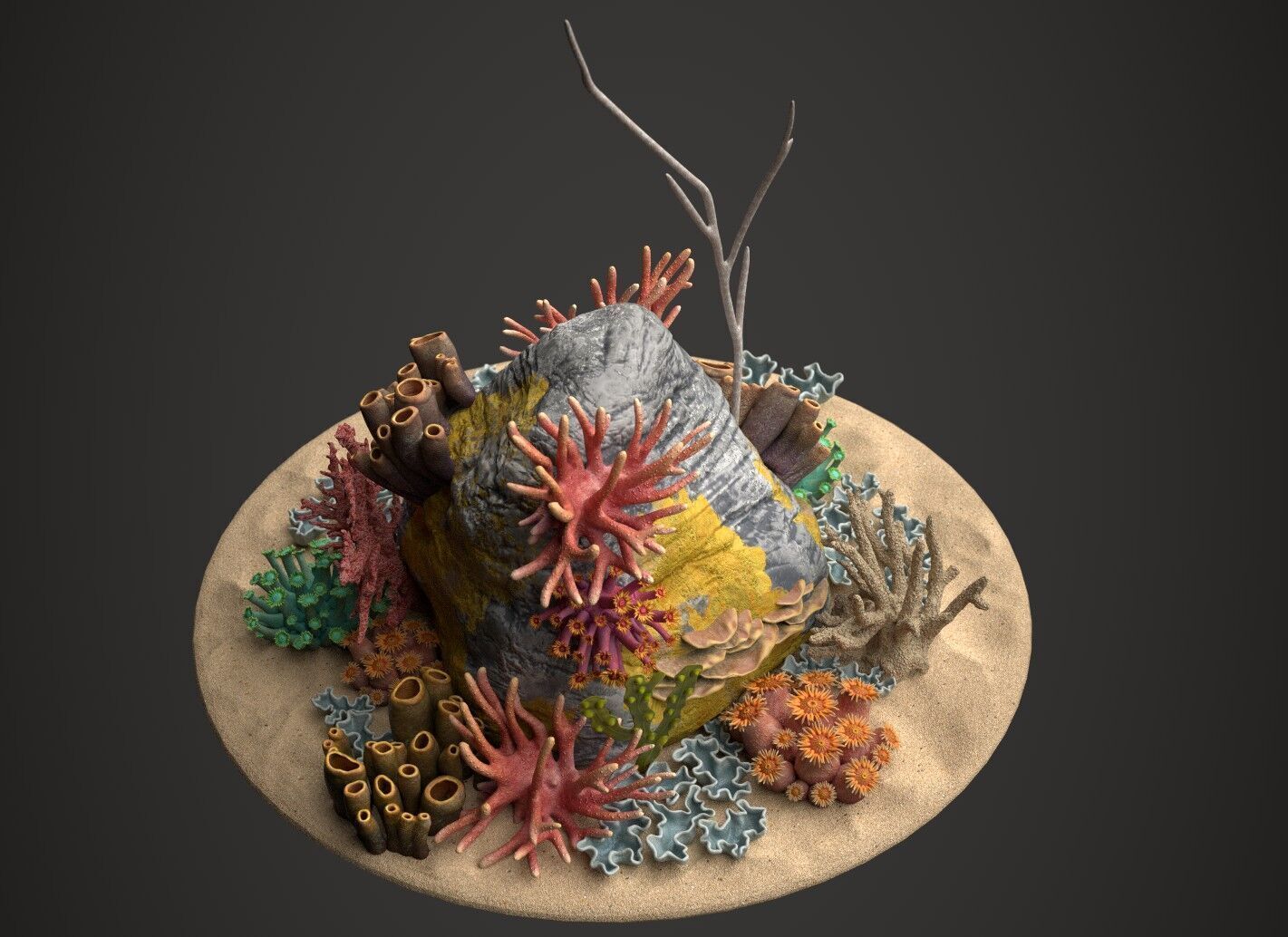 Coral reef 3D model_23